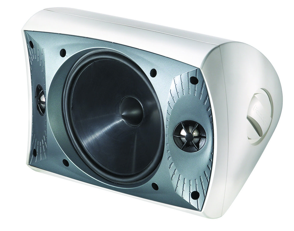 Paradigm Stylus 470-SM Stereo Outdoor Speaker