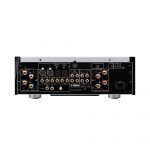 Yamaha A-S2200 Stereo Amplifier Rear Panel